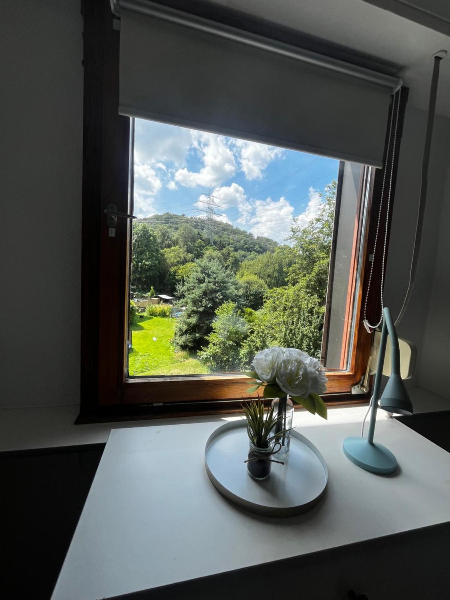 Apartament Idyllisch Wohnen An Der Ruhr Hattingen Zewnętrze zdjęcie